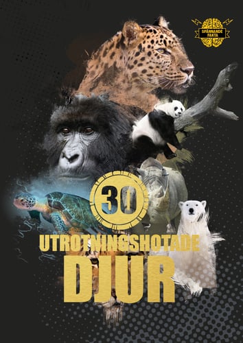 Produktbillede 1
